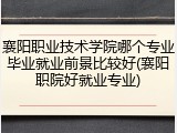 襄阳职业技术学院哪个专业毕业就业前景比较好(襄阳职院好就业专业)