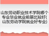 山东劳动职业技术学院哪个专业毕业就业前景比较好(山东劳动学院就业好专业)