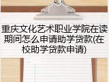 重庆文化艺术职业学院在读期间怎么申请助学贷款(在校助学贷款申请)