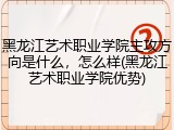 黑龙江艺术职业学院主攻方向是什么，怎么样(黑龙江艺术职业学院优势)