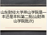山东财经大学燕山学院是一本还是本科第二批(山财燕山学院批次)