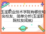 玉溪职业技术学院有哪些知名校友，简单分析(玉溪职院校友成就)
