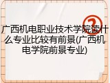 广西机电职业技术学院读什么专业比较有前景(广西机电学院前景专业)