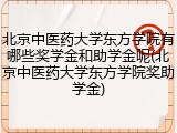 北京中医药大学东方学院有哪些奖学金和助学金呢(北京中医药大学东方学院奖助学金)