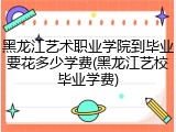 黑龙江艺术职业学院到毕业要花多少学费(黑龙江艺校毕业学费)