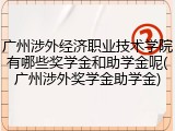 广州涉外经济职业技术学院有哪些奖学金和助学金呢(广州涉外奖学金助学金)