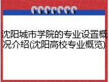 沈阳城市学院的专业设置概况介绍(沈阳高校专业概览)