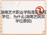 湖南艺术职业学院是否有双学位，为什么(湖南艺院双学位原因)