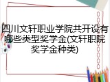 四川文轩职业学院共开设有哪些类型奖学金(文轩职院奖学金种类)
