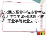 武汉民政职业学院毕业生就业大致去向如何(武汉民政职业学院就业去向)