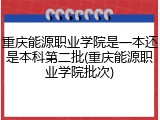 重庆能源职业学院是一本还是本科第二批(重庆能源职业学院批次)