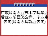 广东岭南职业技术学院毕业后就业前景怎么样，毕业生去向(岭南职院就业去向)