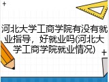 河北大学工商学院有没有就业指导，好就业吗(河北大学工商学院就业情况)