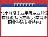 北京网络职业学院专业开设有哪些,特色在哪(北京网络职业学院专业特色)