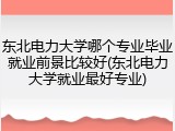 东北电力大学哪个专业毕业就业前景比较好(东北电力大学就业最好专业)