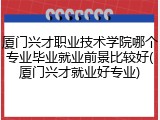 厦门兴才职业技术学院哪个专业毕业就业前景比较好(厦门兴才就业好专业)