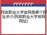 民政职业大学官网是哪个网址多少(民政职业大学官网网址)
