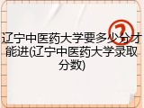 辽宁中医药大学要多少分才能进(辽宁中医药大学录取分数)