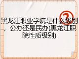 黑龙江职业学院是什么级别，公办还是民办(黑龙江职院性质级别)
