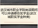 武汉城市职业学院就读期间可以申请哪些奖学金(武汉城职奖学金种类)