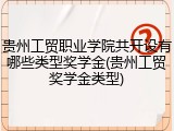 贵州工贸职业学院共开设有哪些类型奖学金(贵州工贸奖学金类型)