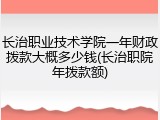 长治职业技术学院一年财政拨款大概多少钱(长治职院年拨款额)