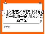 四川文化艺术学院开设有哪些奖学和助学金(川文艺奖助学金)