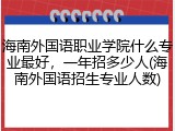 海南外国语职业学院什么专业最好，一年招多少人(海南外国语招生专业人数)