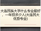 大连民族大学什么专业最好，一年招多少人(大连民大优势专业)