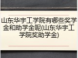 山东华宇工学院有哪些奖学金和助学金呢(山东华宇工学院奖助学金)
