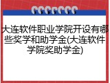 大连软件职业学院开设有哪些奖学和助学金(大连软件学院奖助学金)