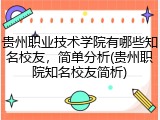 贵州职业技术学院有哪些知名校友，简单分析(贵州职院知名校友简析)