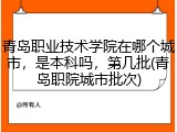 青岛职业技术学院在哪个城市，是本科吗，第几批(青岛职院城市批次)