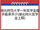 湖北师范大学一年奖学金最多能拿多少(湖北师大奖学金上限)