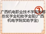 广西机电职业技术学院有哪些奖学金和助学金呢(广西机电学院奖助学金)