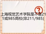 上海视觉艺术学院是不是211或985高校(非211/985)