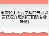 重庆轻工职业学院的专业设置概况介绍(轻工职院专业概览)