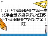 江苏卫生健康职业学院一年奖学金最多能拿多少(江苏卫生健康职业学院奖学金上限)