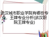 武汉城市职业学院有哪些专业，王牌专业分析(武汉职院王牌专业)