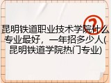 昆明铁道职业技术学院什么专业最好，一年招多少人(昆明铁道学院热门专业)