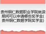 贵州铜仁数据职业学院就读期间可以申请哪些奖学金(贵州铜仁数据学院奖学金)