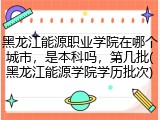 黑龙江能源职业学院在哪个城市，是本科吗，第几批(黑龙江能源学院学历批次)