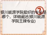 银川能源学院最好的专业是哪个，详细阐述(银川能源学院王牌专业)