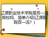 辽源职业技术学院是双一流高校吗，简单介绍(辽源职院双一流？)