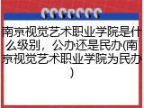 南京视觉艺术职业学院是什么级别，公办还是民办(南京视觉艺术职业学院为民办)