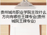 贵州城市职业学院主攻什么方向有哪些王牌专业(贵州城院王牌专业)