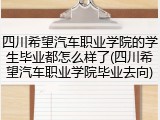 四川希望汽车职业学院的学生毕业都怎么样了(四川希望汽车职业学院毕业去向)