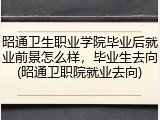 昭通卫生职业学院毕业后就业前景怎么样，毕业生去向(昭通卫职院就业去向)