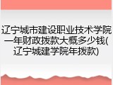 辽宁城市建设职业技术学院一年财政拨款大概多少钱(辽宁城建学院年拨款)