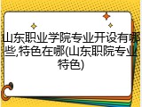 山东职业学院专业开设有哪些,特色在哪(山东职院专业特色)